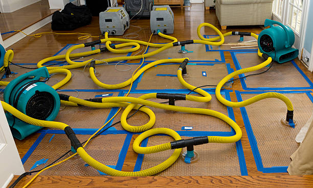 Professional Crawl Space Water Removal technician working in Guy, TX